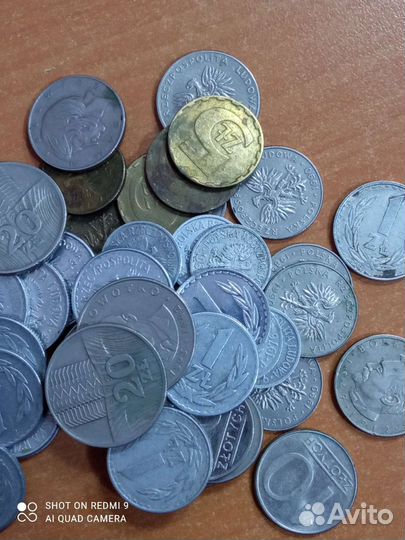 Польша монеты