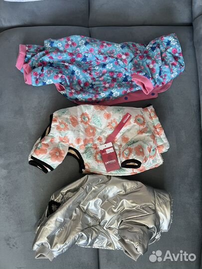 Одежда для собак мелких пород девочек