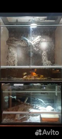 Видовая композиция из террариумов