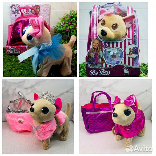 Чичилав Собачка в сумочке