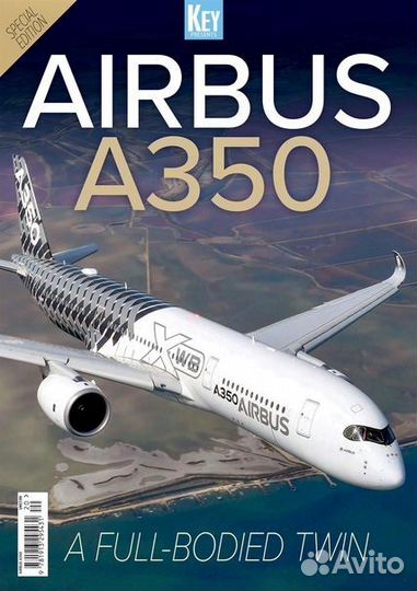 Большая модель самолета