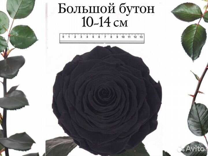 Роза в колбе Deluxe Черная