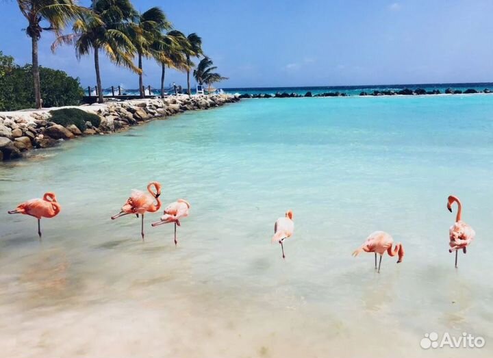 VIP-тур на о. Кубу 12 нч