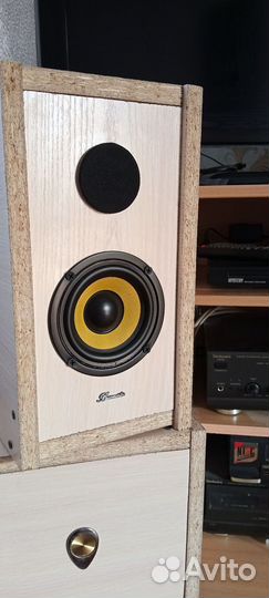 Авторская акустика Burmester 2.1 Pro