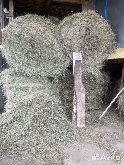 Сена в тюках (тюкованное сено)