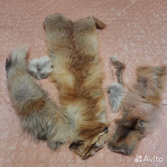 Продаются лисьи шкуры