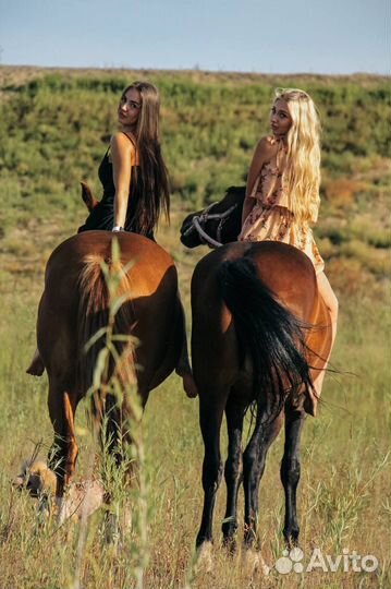 Фотосессии с лошадьми