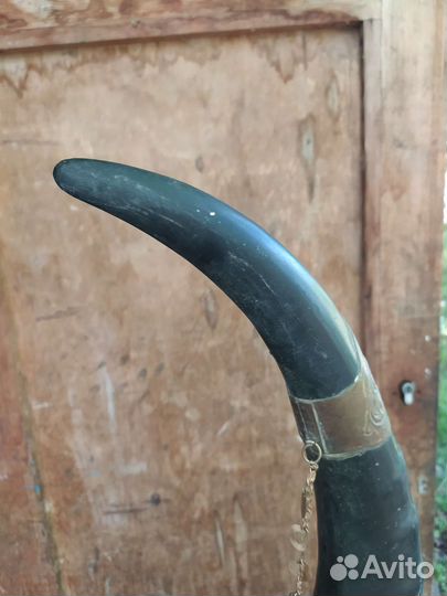 Рог изобилия