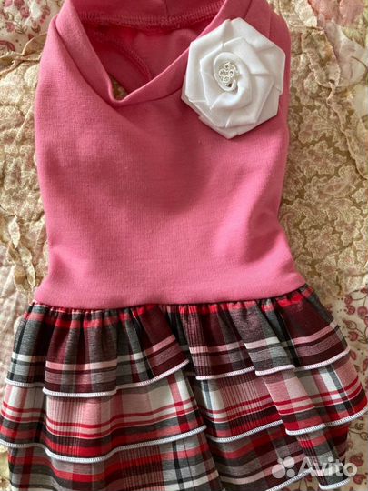 Одежда для животных