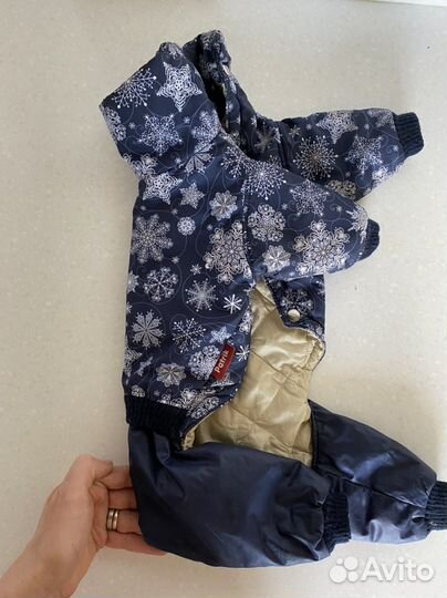 Одежда - для маленьких собак