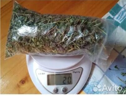 Травяные веники для парной бани. Чайные травы