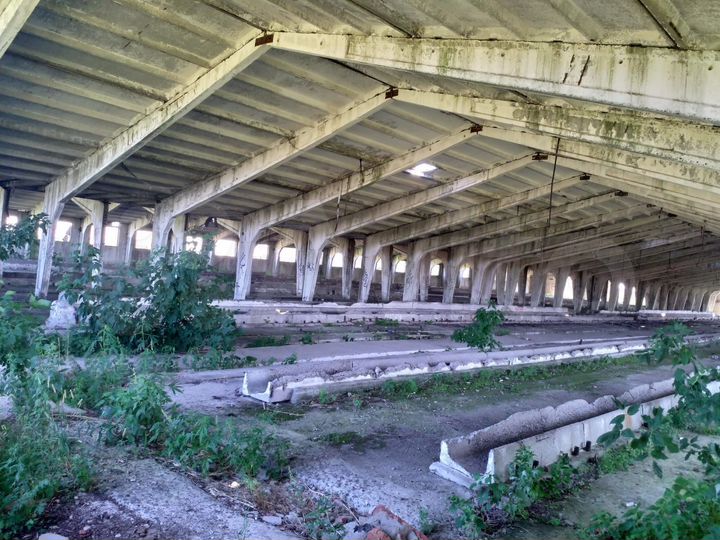 Здание, 5000 м²