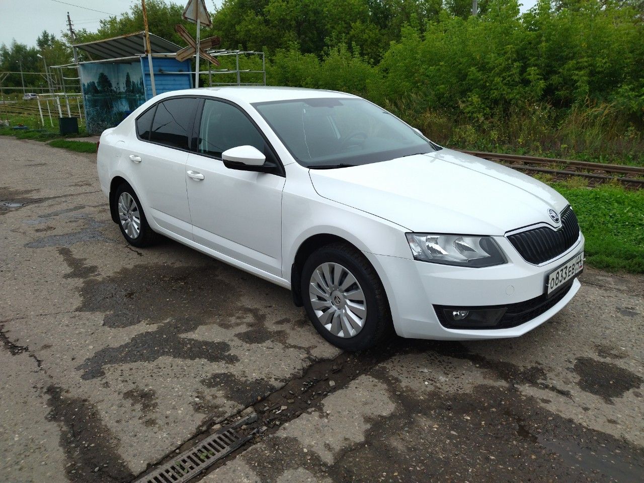 Skoda Octavia: фото владельца