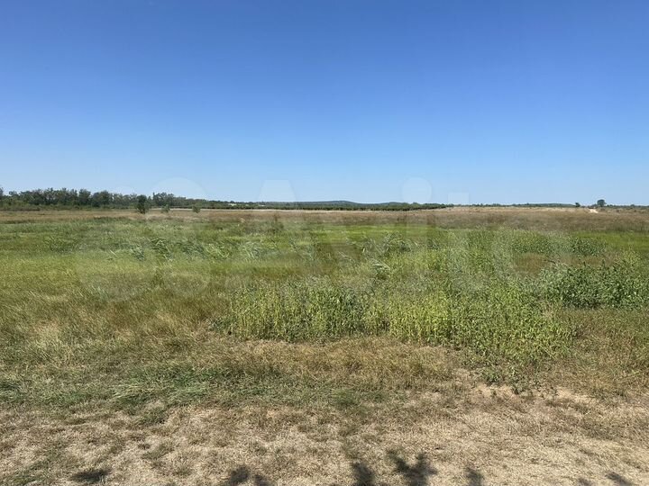 Участок 1,53 га (СНТ, ДНП)