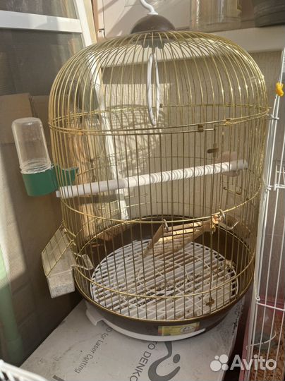 Коробка с решеткой