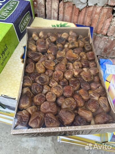 Финики суккари