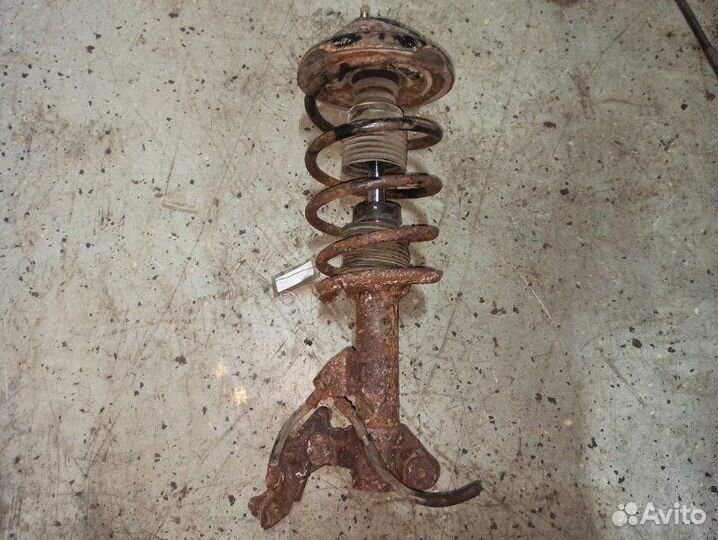 Стойка подвески передняя правая Nissan Primera P12