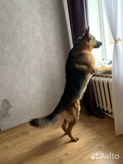 Кабель для вязки