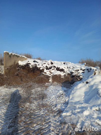 Молочная ферма