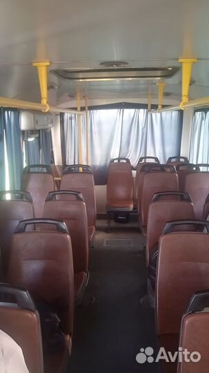 Аренда автобуса Паз. Доставка сотрудников