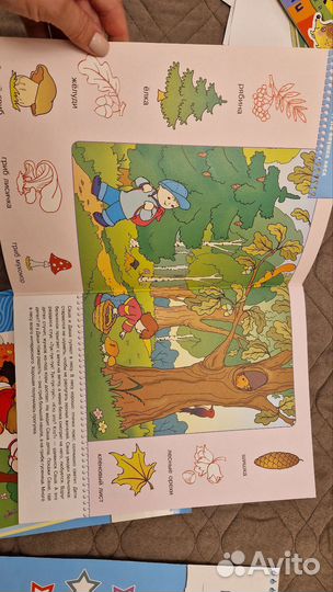 Развивающие пособия для детей Школа семи гномов 2+