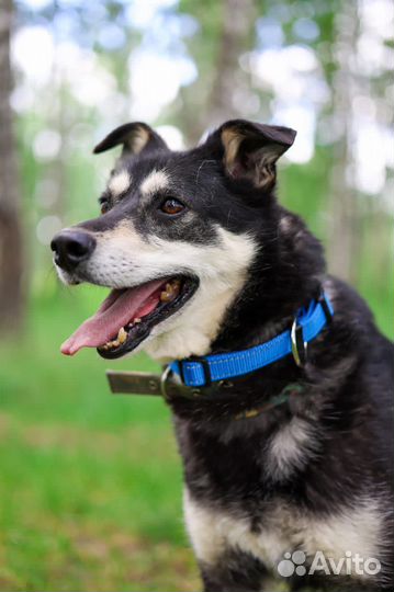 Брюс всемогущий бесплатно