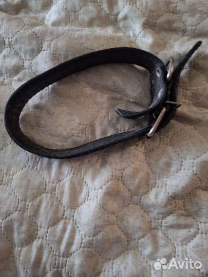 Поводок для собак новый