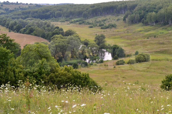 Участок 44 сот. (ИЖС)