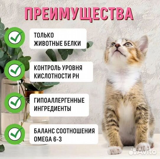 Корм д/котят Grandorf Kitten ягненок и индейка,2кг