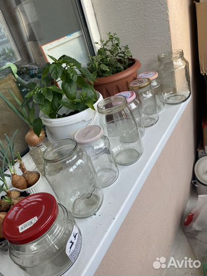 Цена за всё