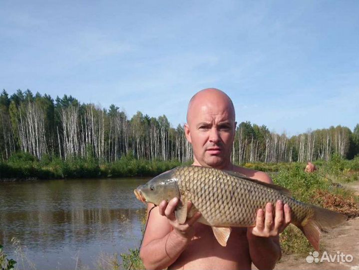 Платная рыбалка