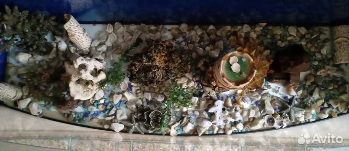 Аквариум на 250 лт