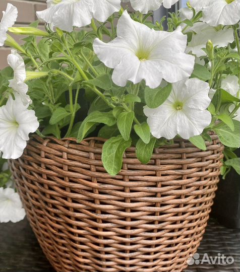 Кашпо из искусственного ротанга от 12 л и более