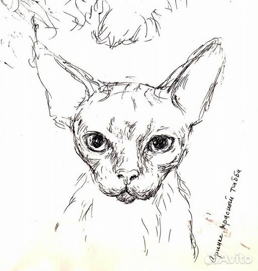 Нарисую милых котиков, собачек, питомцев