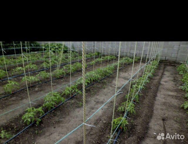 Колья для деревьев