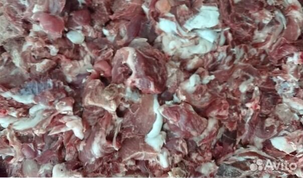 Мясо свинины
