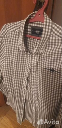 Harvey miller pollo clab