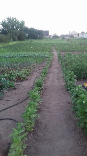 Участок 8 сот. (ИЖС)