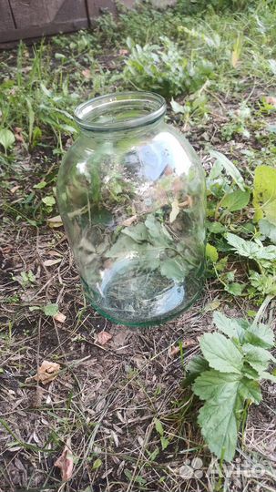 Банки стеклянные