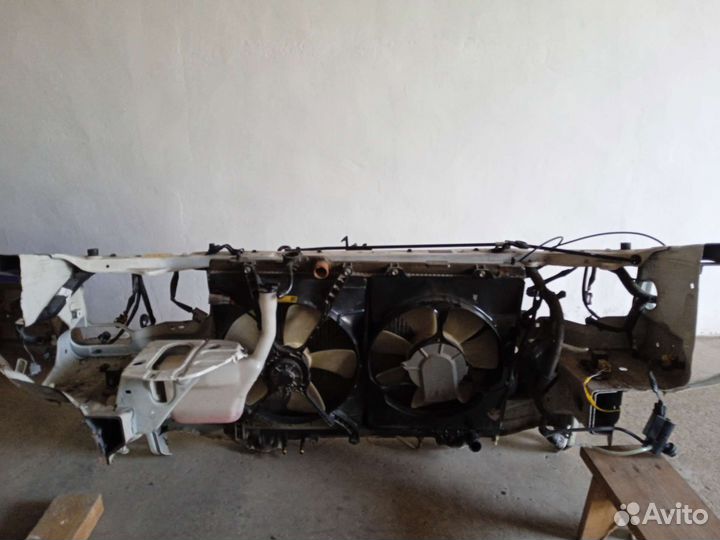 Ноускат ipsum 10 кузов