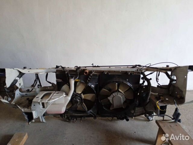 Ноускат ipsum 10 кузов