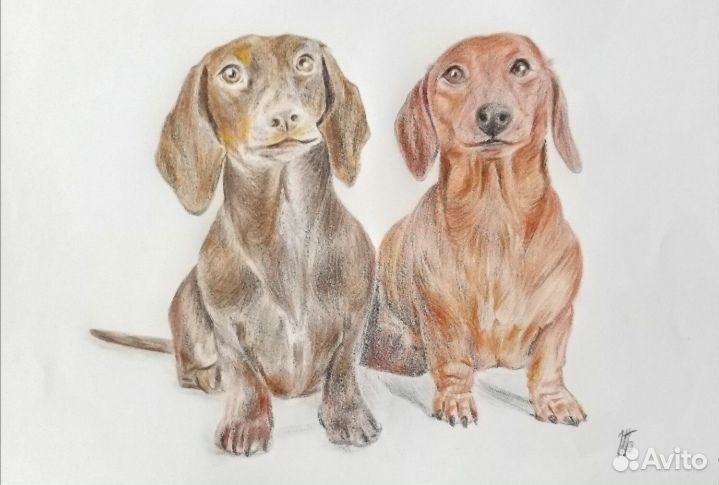 Рисунок карандашами 