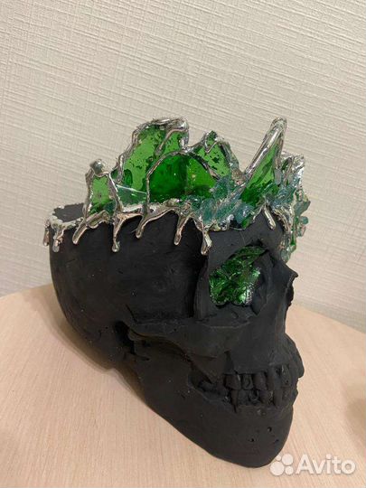 Форма черепа