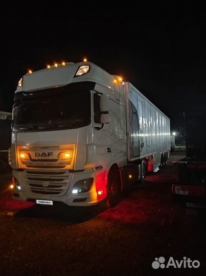 DAF XF 106.480, 2018