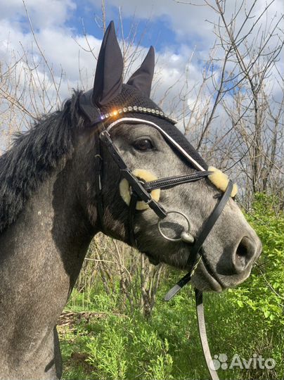 Конные прогулки