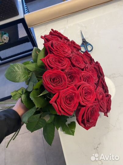 Розы красные. Розы 25 шт. Розы 51 шт
