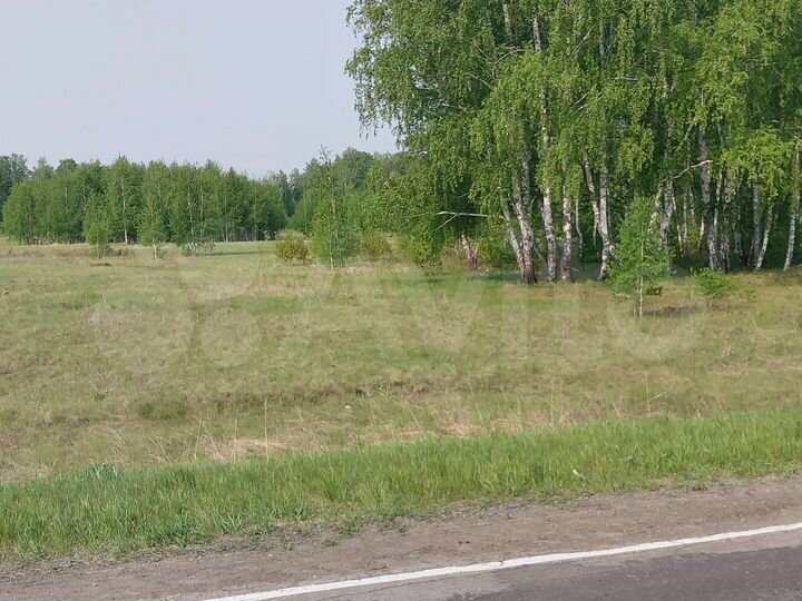 Участок 10,5 сот. (СНТ, ДНП)