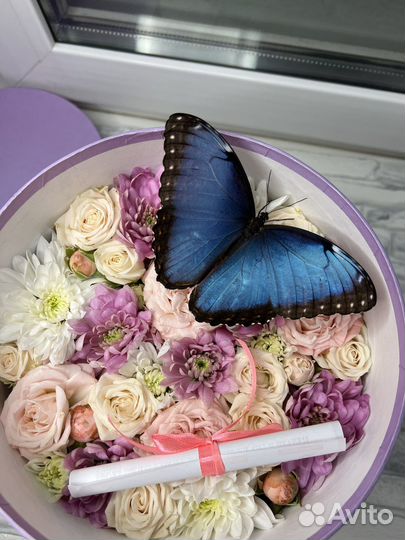 Букет Цветочная композиция и тропическая бабочка