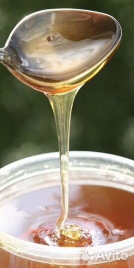 Мед из Белгорода,Соты,Пыльца,Прополис