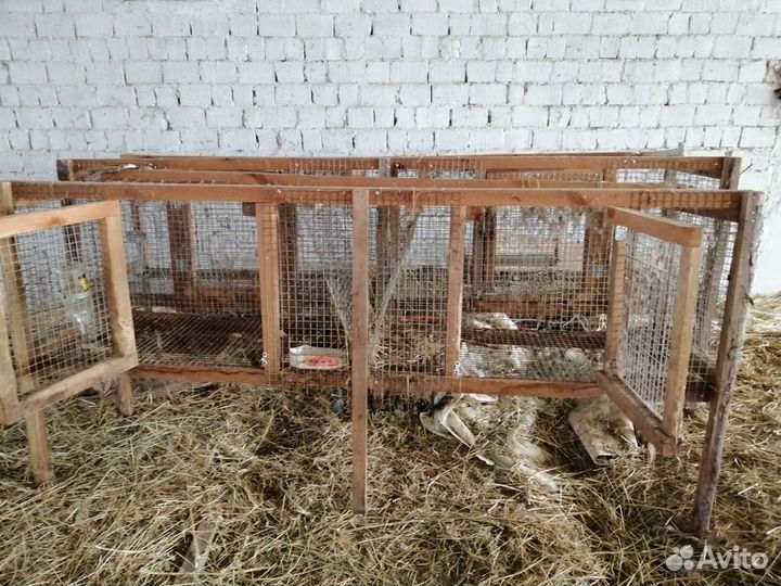 Клетка для кролика большая